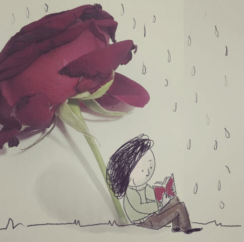 La rosa que esconde un libro